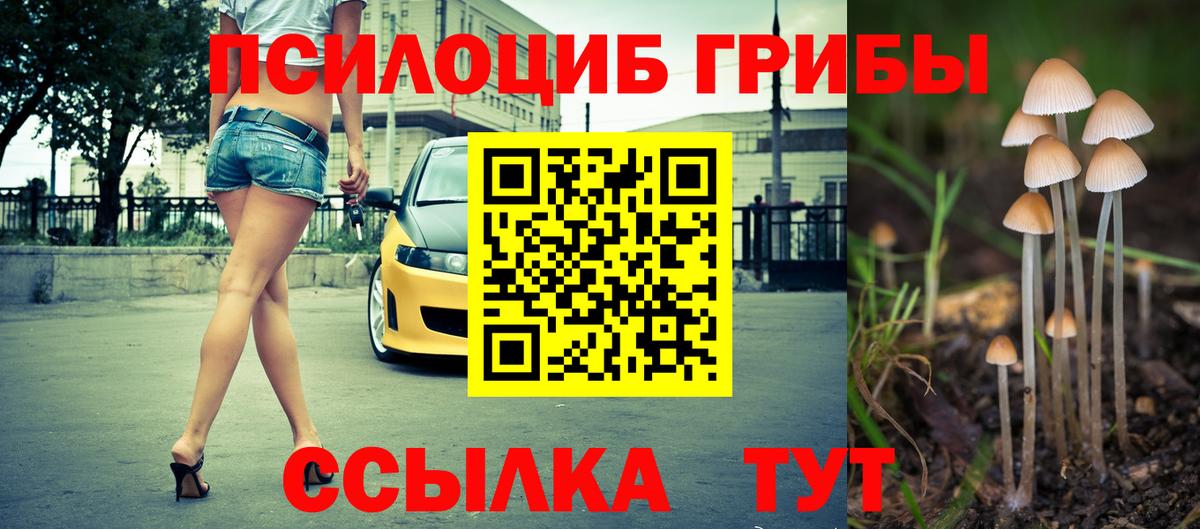 Губкин  Галлюциногенные грибы GOLDEN TEACHER  Вход с VPN 