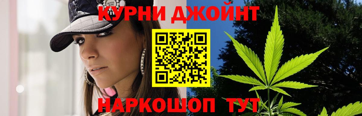 Конопля MAZAR  МАРИХУАНА SATIVA & INDICA  Губкин  Шишки марихуана MAZAR  Вход с VPN  Шишки марихуана THC 21% 